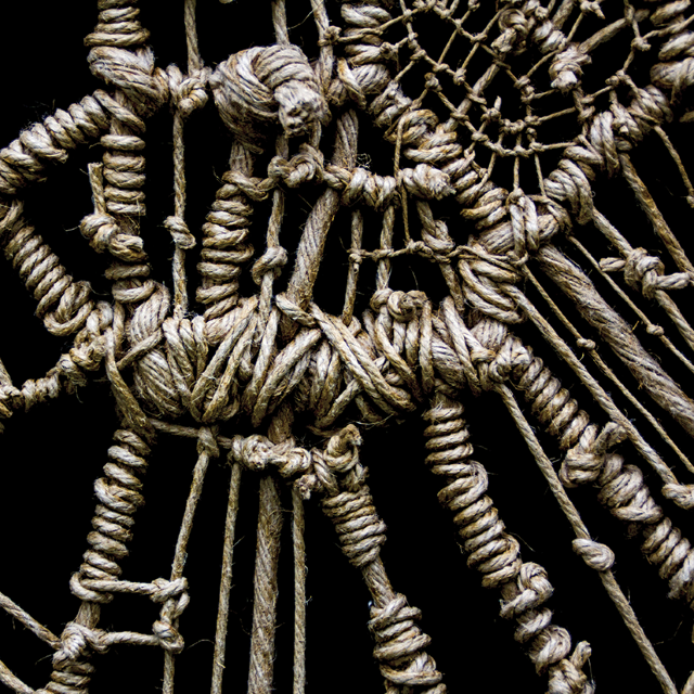 Installation du Pingoin Elastique